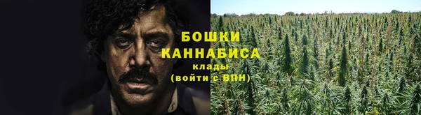 альфа пвп Няндома