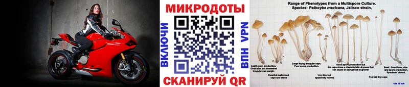 продажа наркотиков  Лабытнанги  Псилоцибиновые грибы GOLDEN TEACHER 