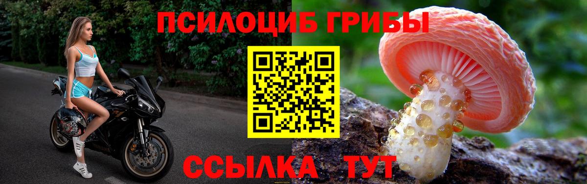 Псилоцибиновые грибы Magic Shrooms  Вход с VPN  Лабытнанги  Галлюциногенные грибы Psilocybine cubensis 