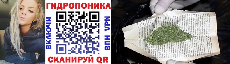 Конопля Amnesia  блэк спрут онион  Лабытнанги  купить закладку 